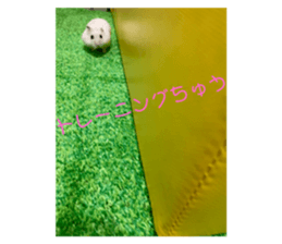 523763343