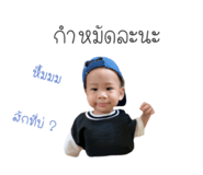 523772350