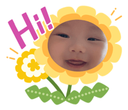 523777302