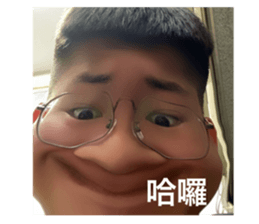 523793902