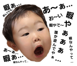 523805280