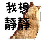 523810469