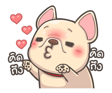 พิกุ - เฟรนช์ บูลด็อก 20 รูปที่ 1