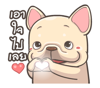 พิกุ - เฟรนช์ บูลด็อก 20 รูปที่ 3