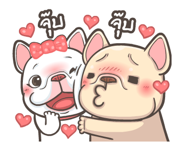 พิกุ - เฟรนช์ บูลด็อก 20 รูปที่ 8