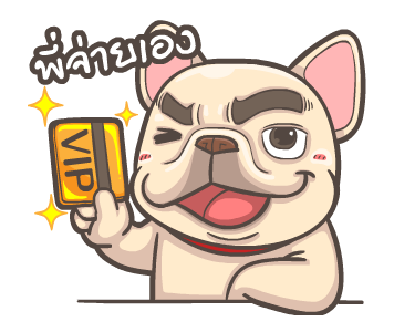พิกุ - เฟรนช์ บูลด็อก 20 รูปที่ 9