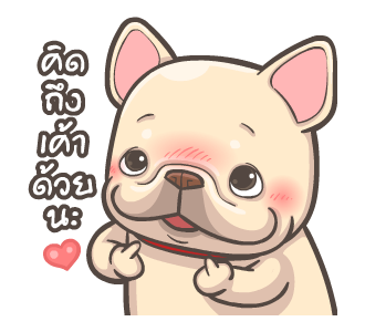 พิกุ - เฟรนช์ บูลด็อก 20 รูปที่ 10