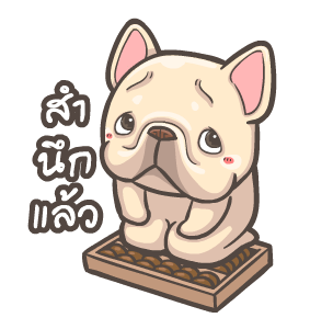 พิกุ - เฟรนช์ บูลด็อก 20 รูปที่ 13