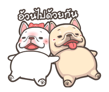 พิกุ - เฟรนช์ บูลด็อก 20 รูปที่ 17