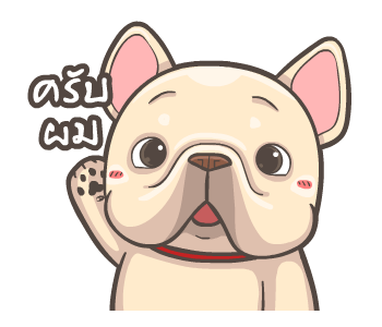 พิกุ - เฟรนช์ บูลด็อก 20 รูปที่ 21