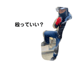 523853603