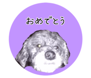 523854039