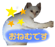 523856128