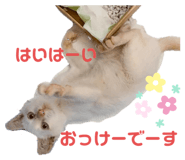 523856132