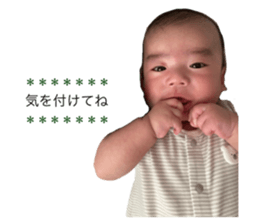 523856512