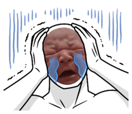 523864672