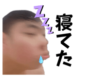523871845