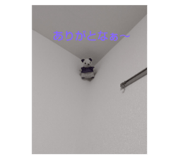 523881246