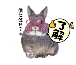 523894131