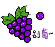 523895516
