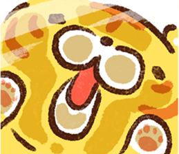 523897073