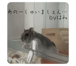 523898057
