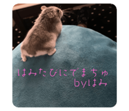 523898058
