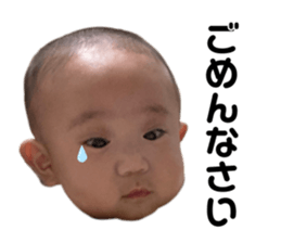 523925205