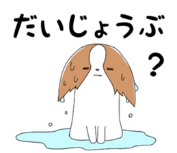 523931640