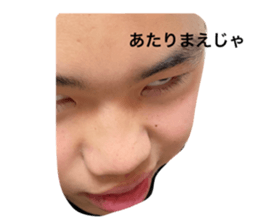 523943801