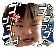 523950954