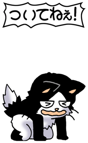 523989060