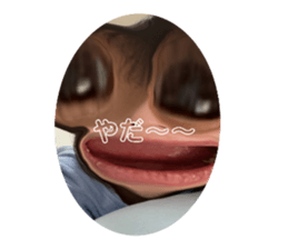 523992079