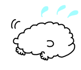 5240250