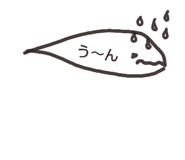 524097484
