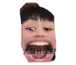524113978
