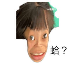 524113980