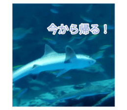 524121018