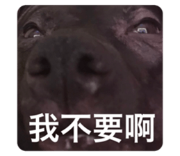 524127709