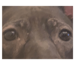 524127714