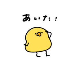524127900