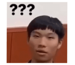 524128446