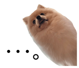 524131459
