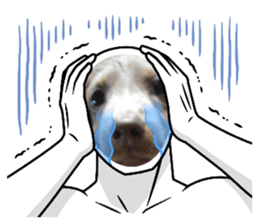 524157318