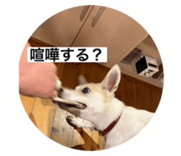 524157431