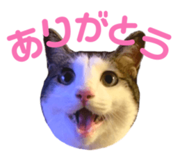 524158030