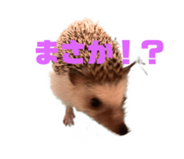 524164607