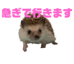 524164609