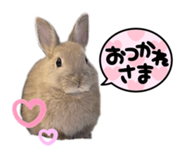 524173134