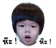 524182362